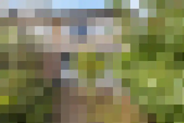 Elzenlaan 131 Groningen thumbnail 39