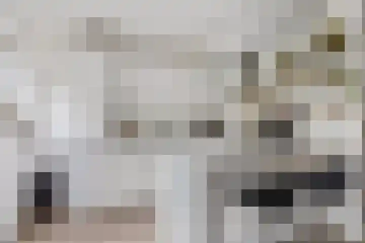 Elzenlaan 131 Groningen thumbnail 4