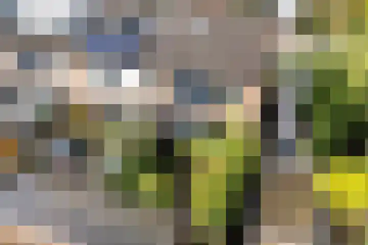 Elzenlaan 131 Groningen thumbnail 42