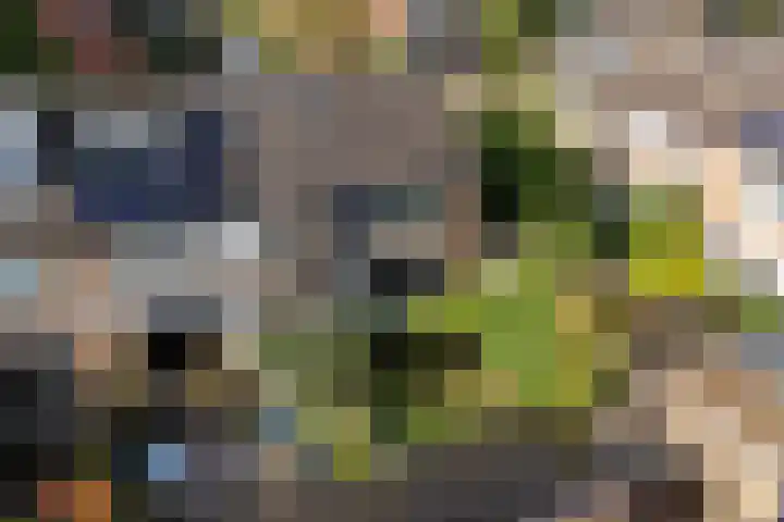 Elzenlaan 131 Groningen thumbnail 43