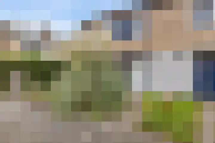 Elzenlaan 131 Groningen thumbnail 5