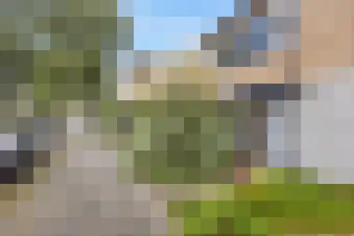 Elzenlaan 131 Groningen thumbnail 6