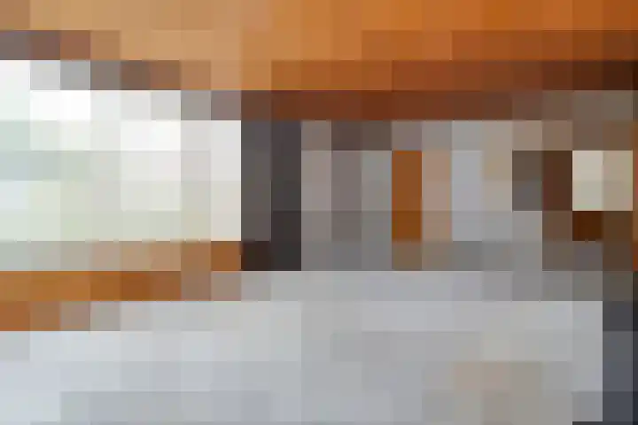 Elzenlaan 14 Hardenberg thumbnail 13