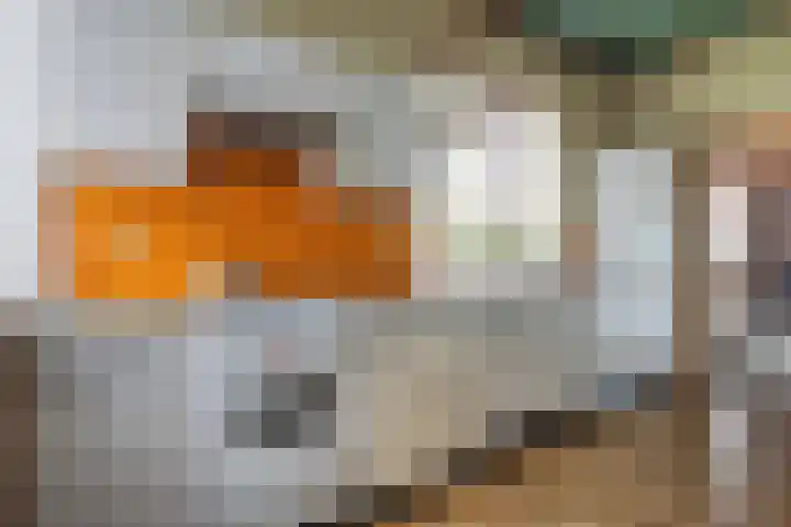 Elzenlaan 14 Hardenberg thumbnail 17