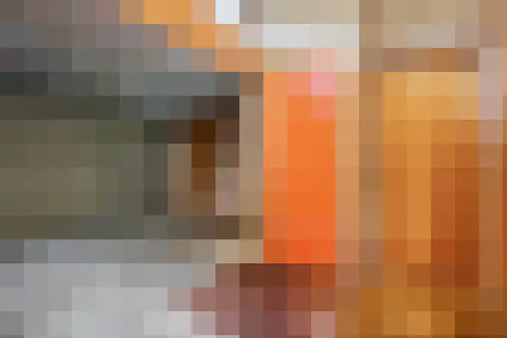 Elzenlaan 14 Hardenberg thumbnail 36