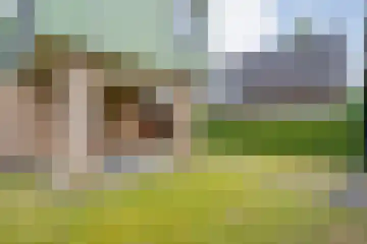 Elzenlaan 14 Hardenberg thumbnail 38