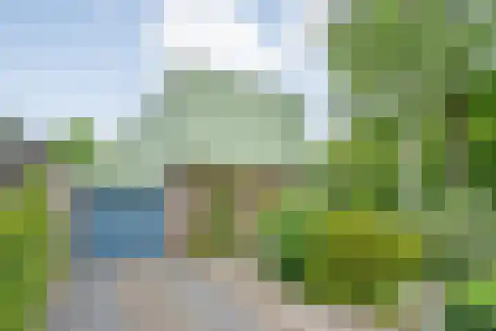Elzenlaan 14 Hardenberg thumbnail 4