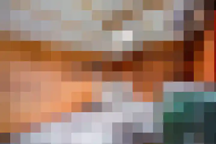 Elzenlaan 14 Hardenberg thumbnail 41