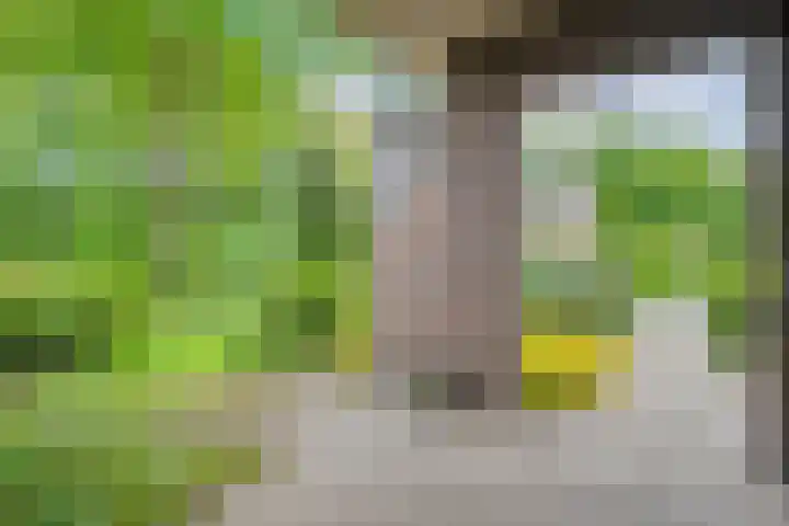 Elzenlaan 14 Hardenberg thumbnail 43