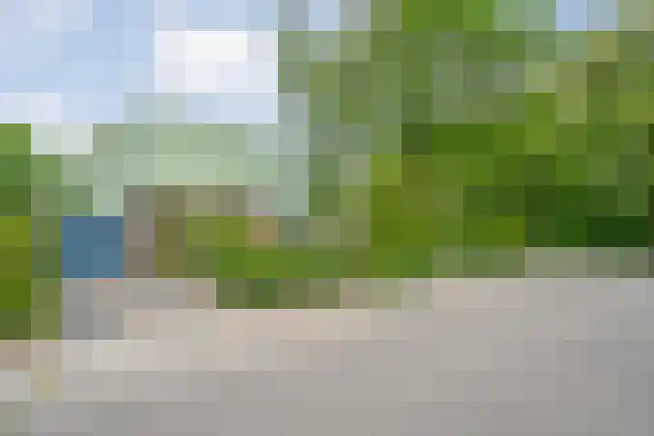 Elzenlaan 14 Hardenberg thumbnail 44
