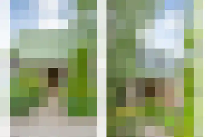 Elzenlaan 14 Hardenberg thumbnail 5