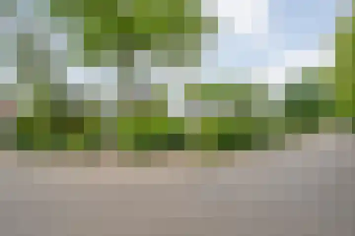 Elzenlaan 14 Hardenberg thumbnail 6
