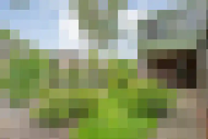 Elzenlaan 14 Hardenberg thumbnail 7