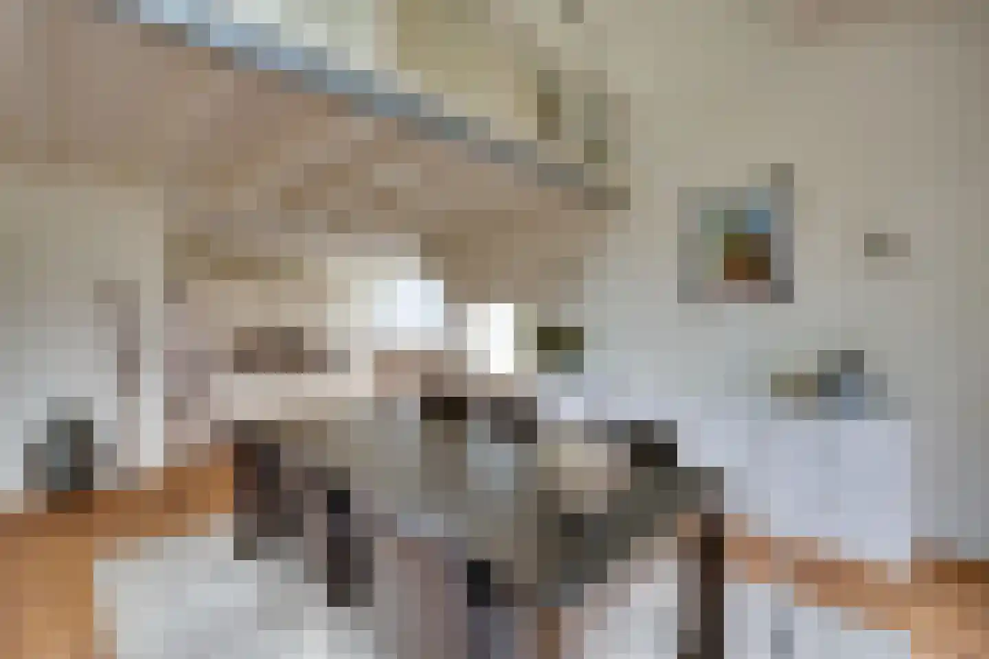 Elzenlaan 14 Smilde thumbnail 13