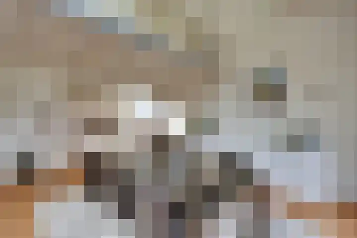 Elzenlaan 14 Smilde thumbnail 13