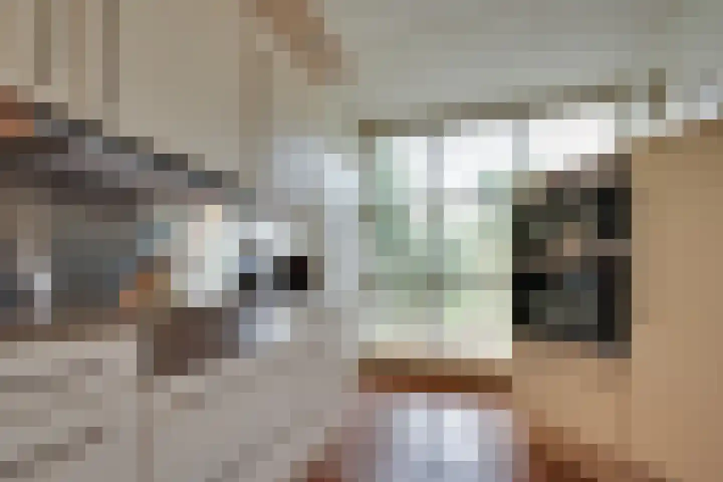 Elzenlaan 14 Smilde thumbnail 17