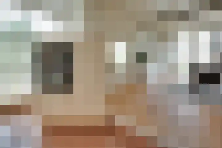 Elzenlaan 14 Smilde thumbnail 18