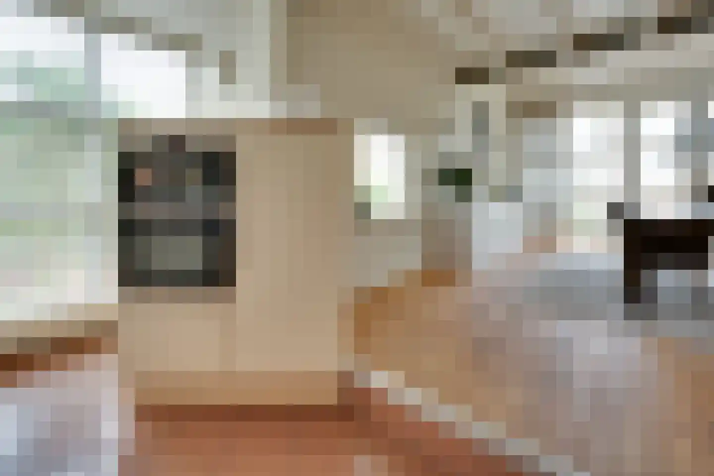 Elzenlaan 14 Smilde thumbnail 18