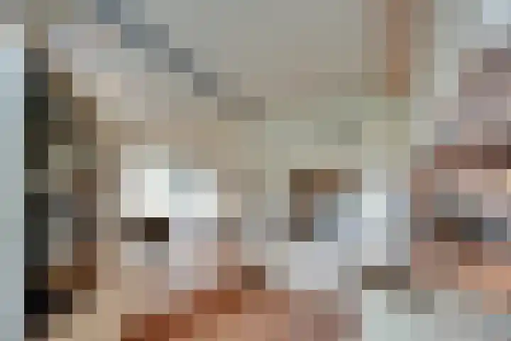 Elzenlaan 14 Smilde thumbnail 19
