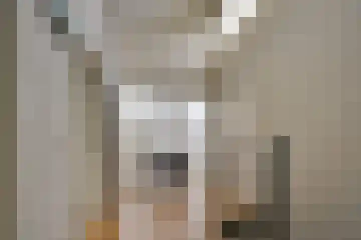 Elzenlaan 14 Smilde thumbnail 29