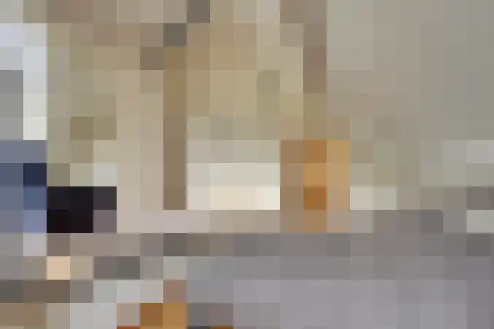 Elzenlaan 14 Smilde thumbnail 36