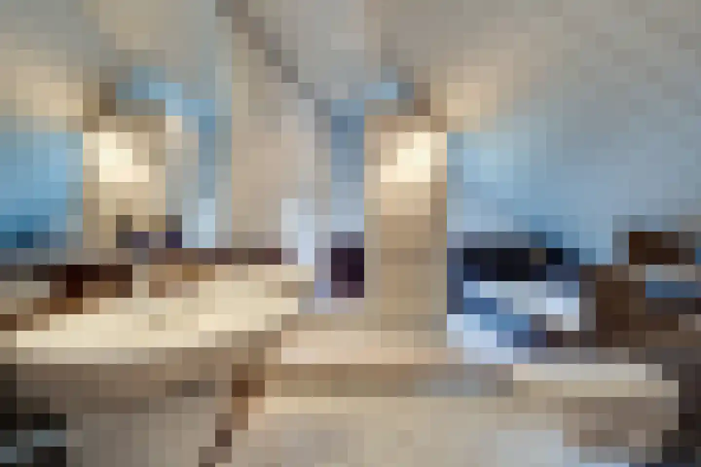 Elzenlaan 14 Smilde thumbnail 37