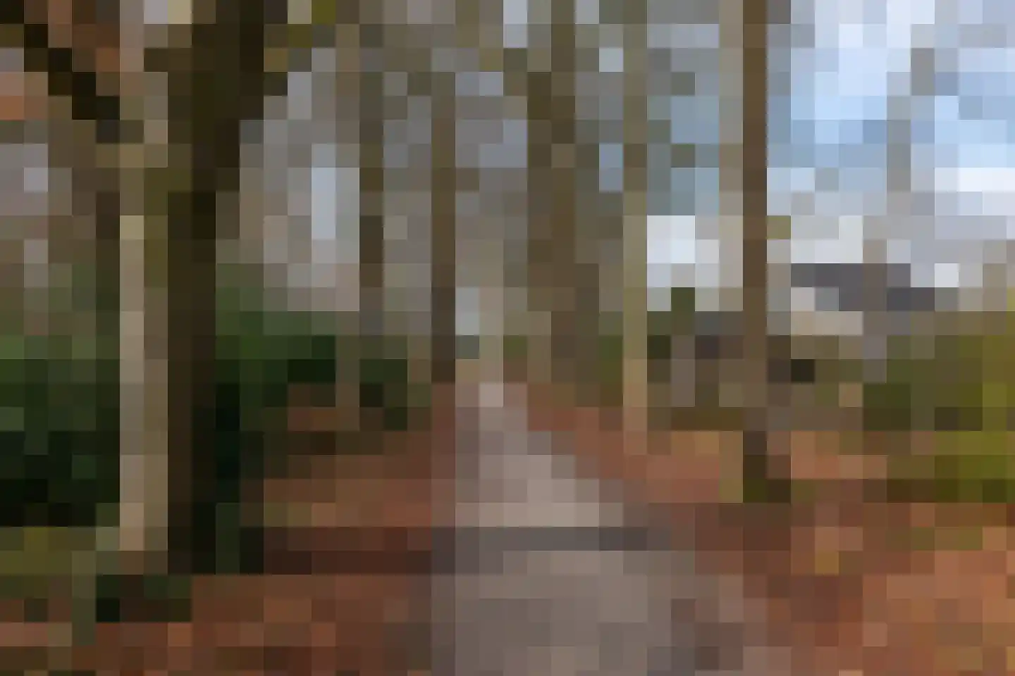 Elzenlaan 14 Smilde thumbnail 4