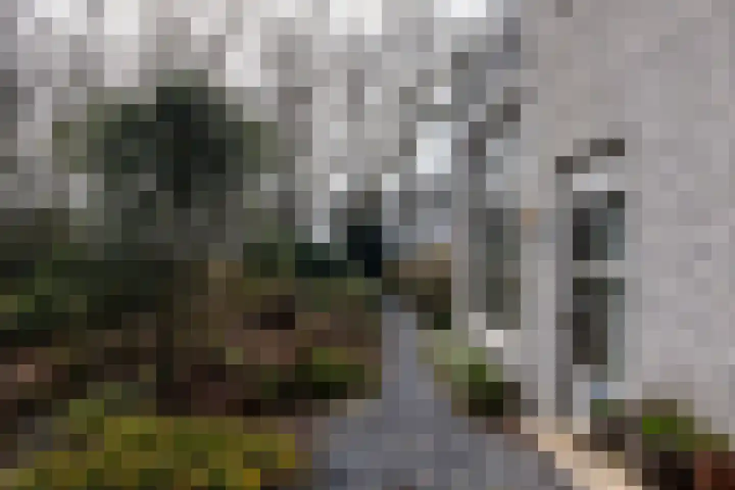 Elzenlaan 14 Smilde thumbnail 41