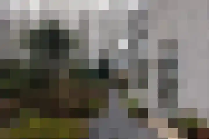 Elzenlaan 14 Smilde thumbnail 41