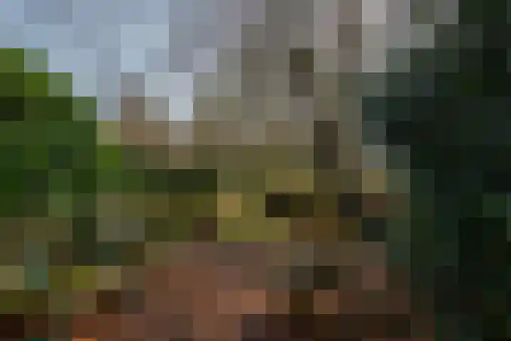 Elzenlaan 14 Smilde thumbnail 42