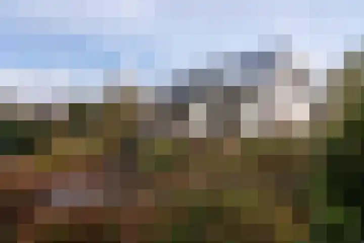 Elzenlaan 14 Smilde thumbnail 43