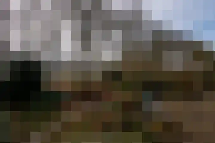 Elzenlaan 14 Smilde thumbnail 44