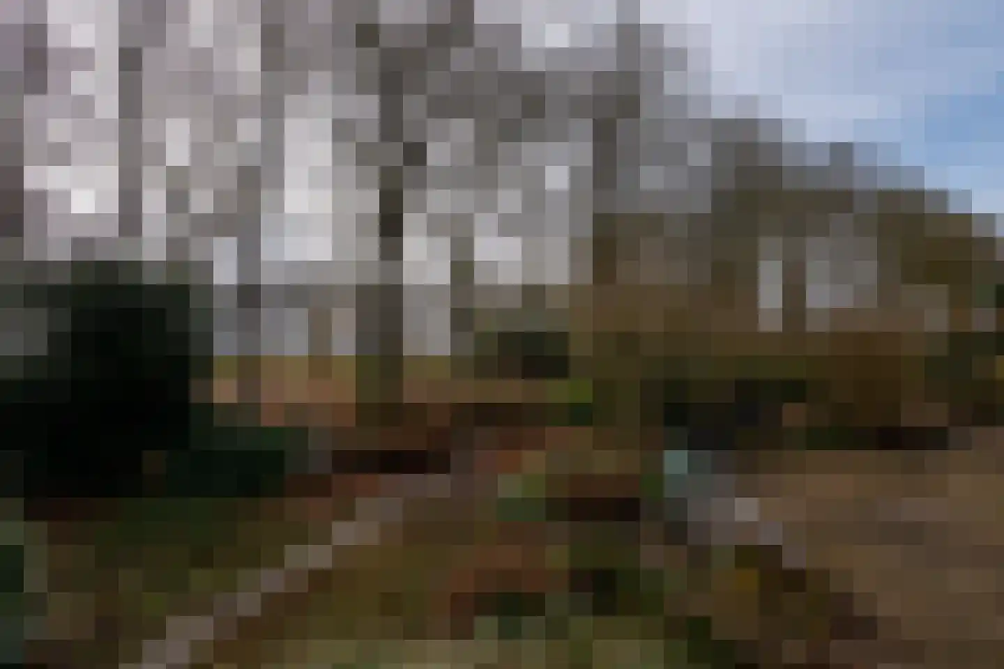 Elzenlaan 14 Smilde thumbnail 44