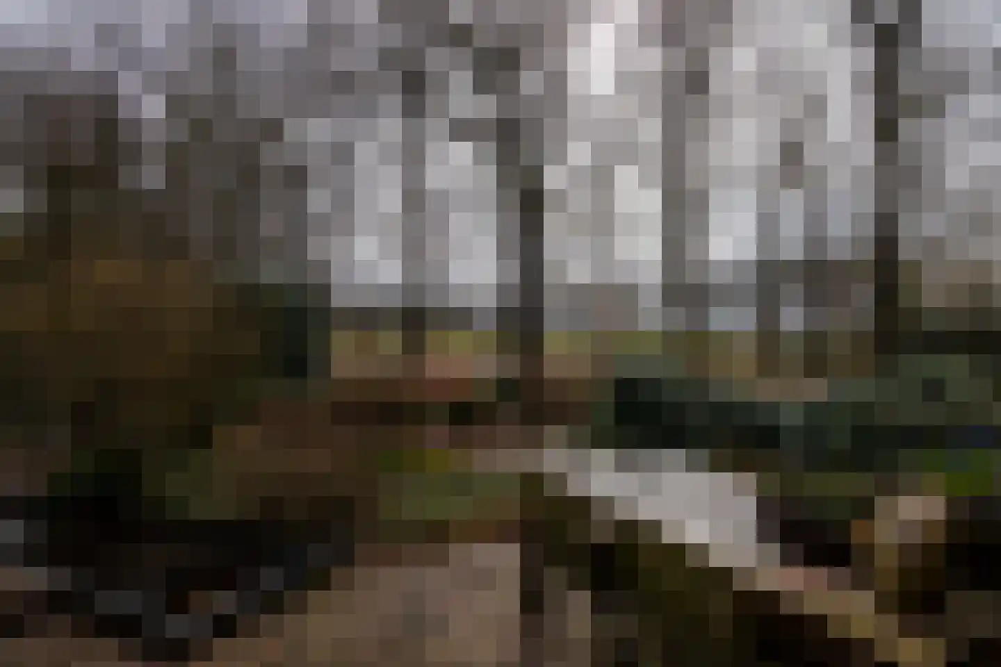Elzenlaan 14 Smilde thumbnail 46