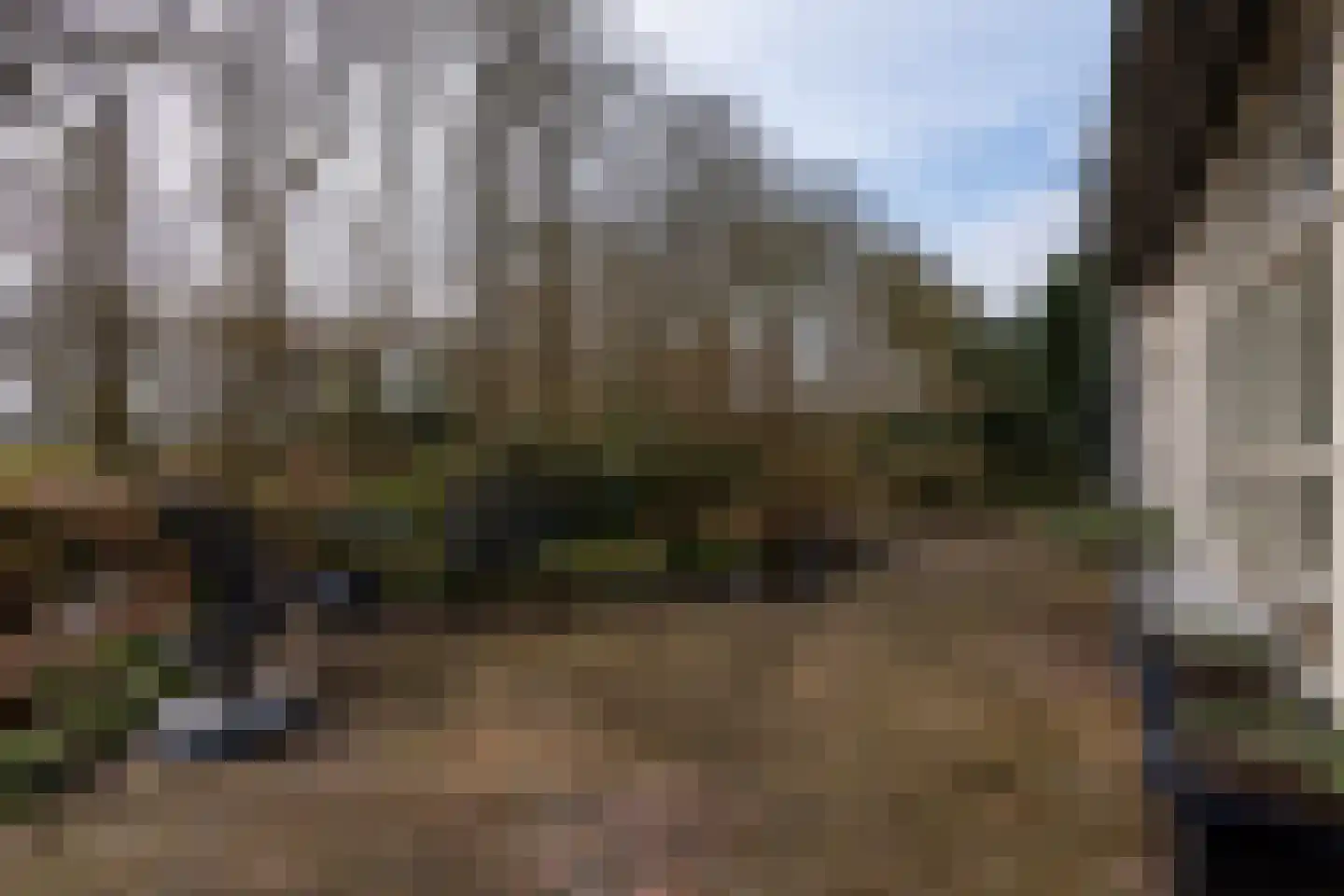 Elzenlaan 14 Smilde thumbnail 47