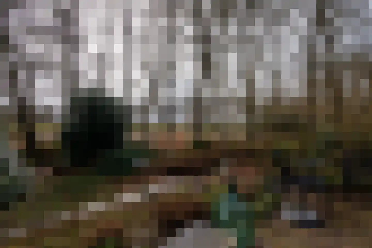 Elzenlaan 14 Smilde thumbnail 48