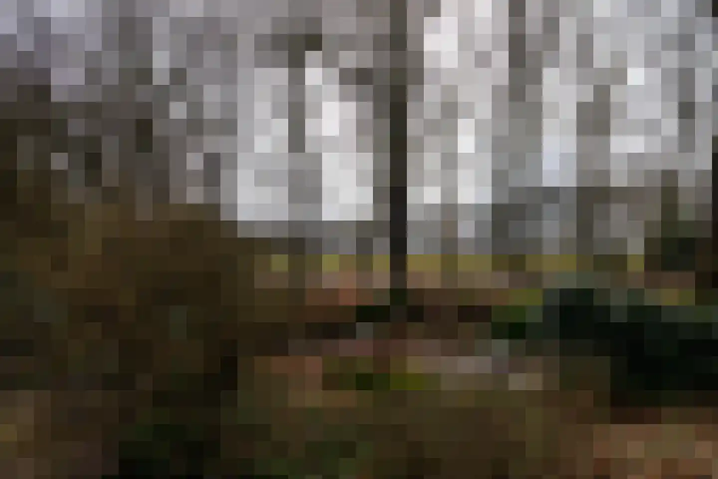 Elzenlaan 14 Smilde thumbnail 50