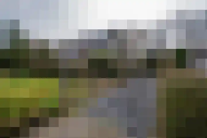 Elzenlaan 14 Smilde thumbnail 52
