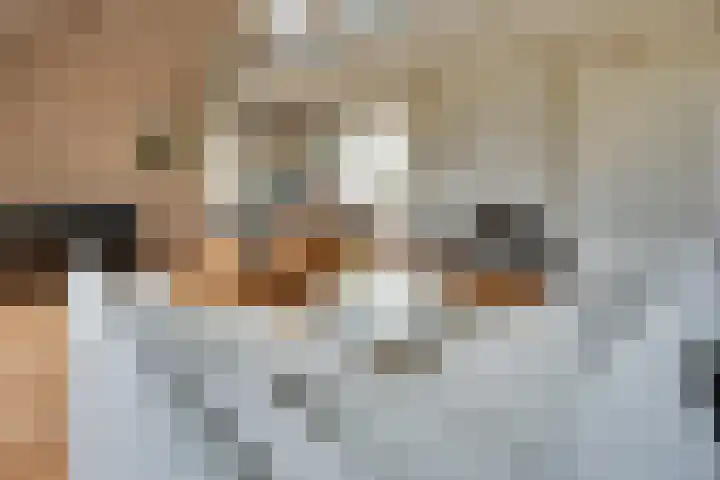 Elzenlaan 14 Smilde thumbnail 8