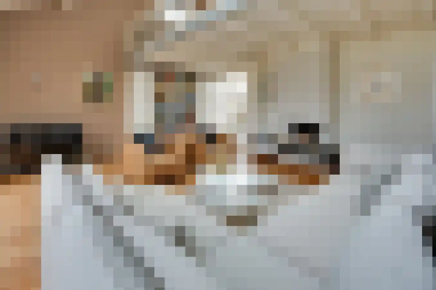 Elzenlaan 14 Smilde thumbnail 8