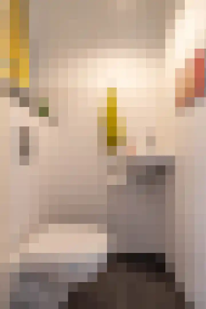 Elzenlaan 15 Peize thumbnail 15