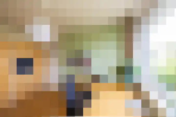 Elzenlaan 15 Peize thumbnail 23