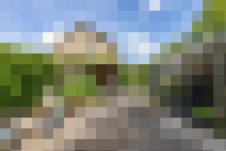 Elzenlaan 15 Peize thumbnail 32
