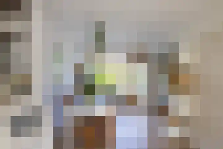 Elzenlaan 15 Peize thumbnail 9