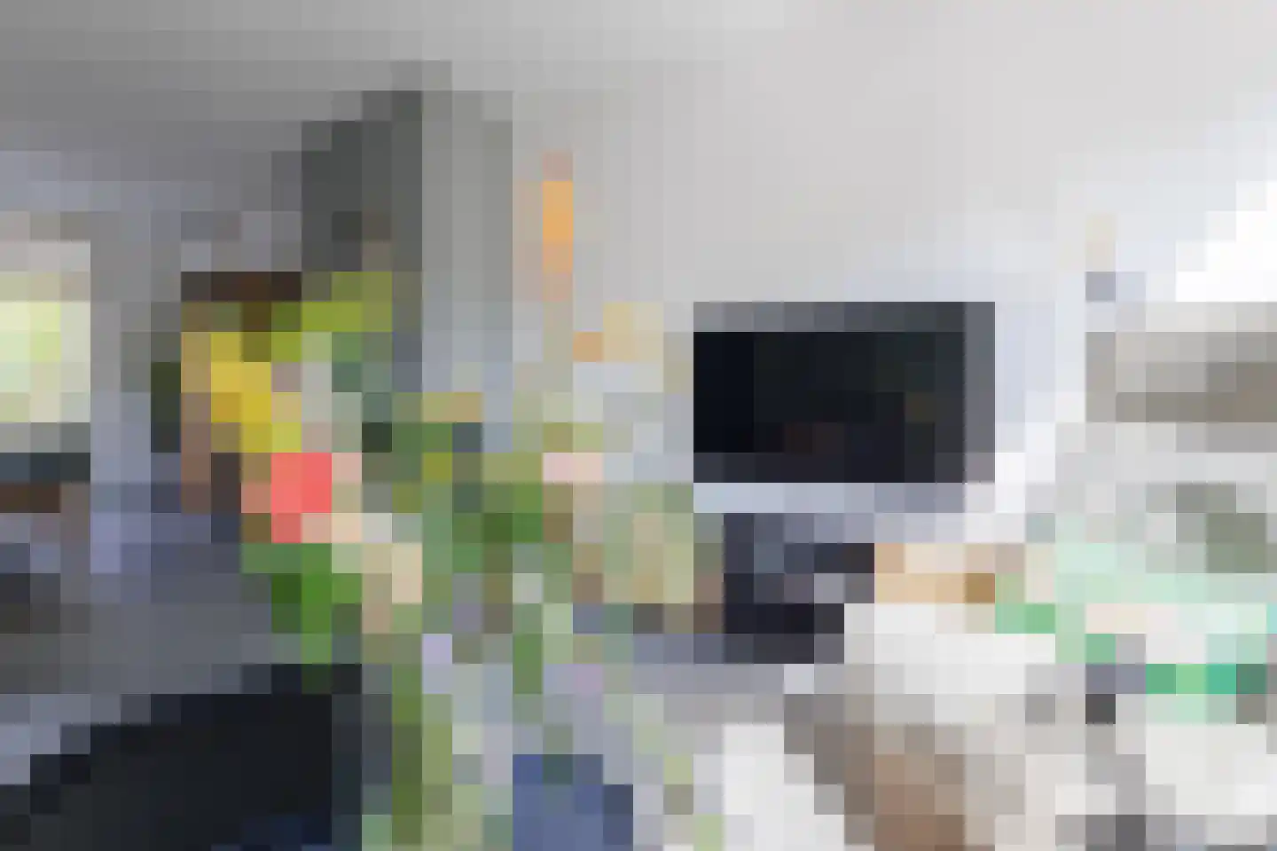 Elzenlaan 16 Groningen thumbnail 15
