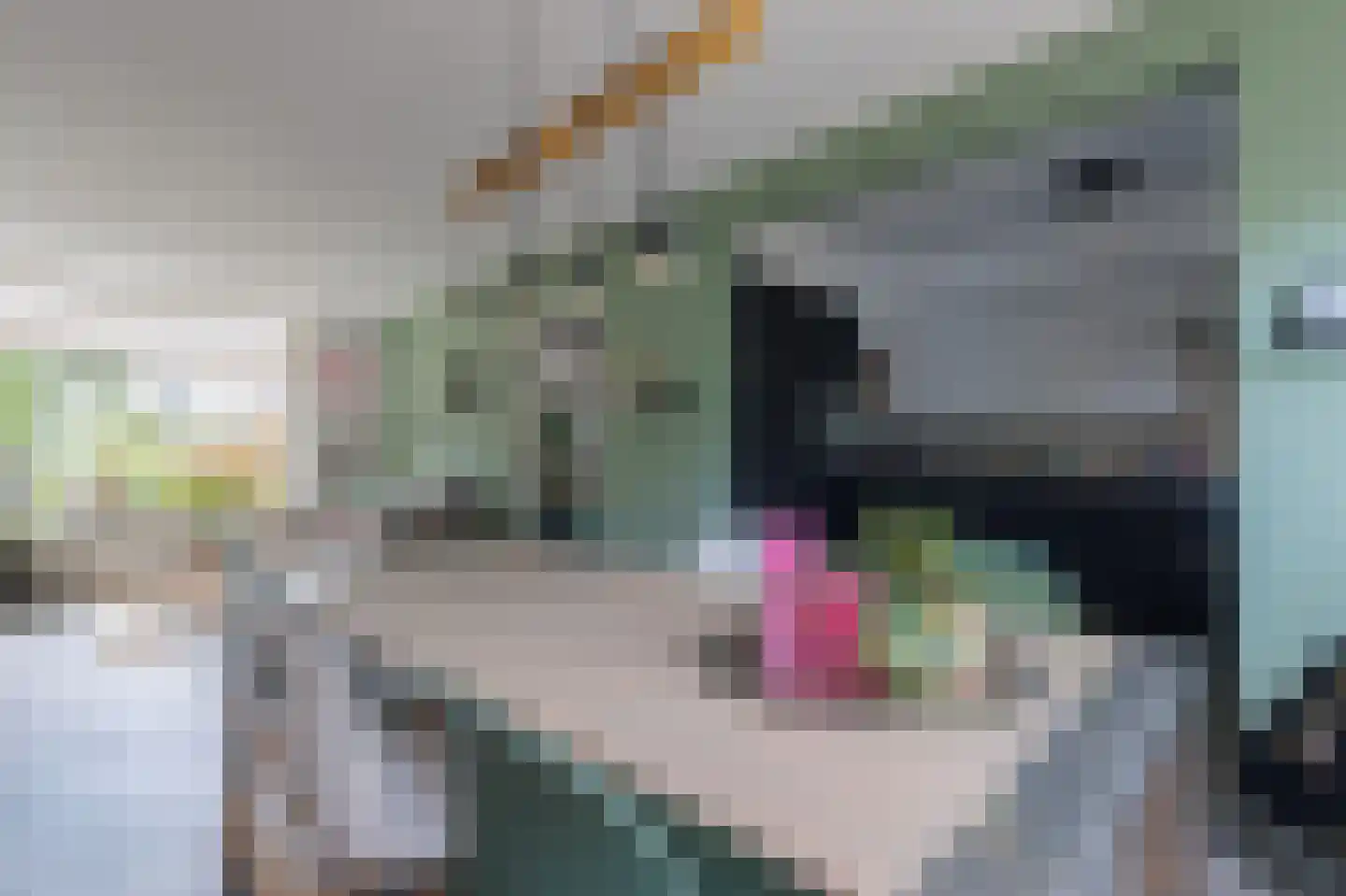 Elzenlaan 16 Groningen thumbnail 17