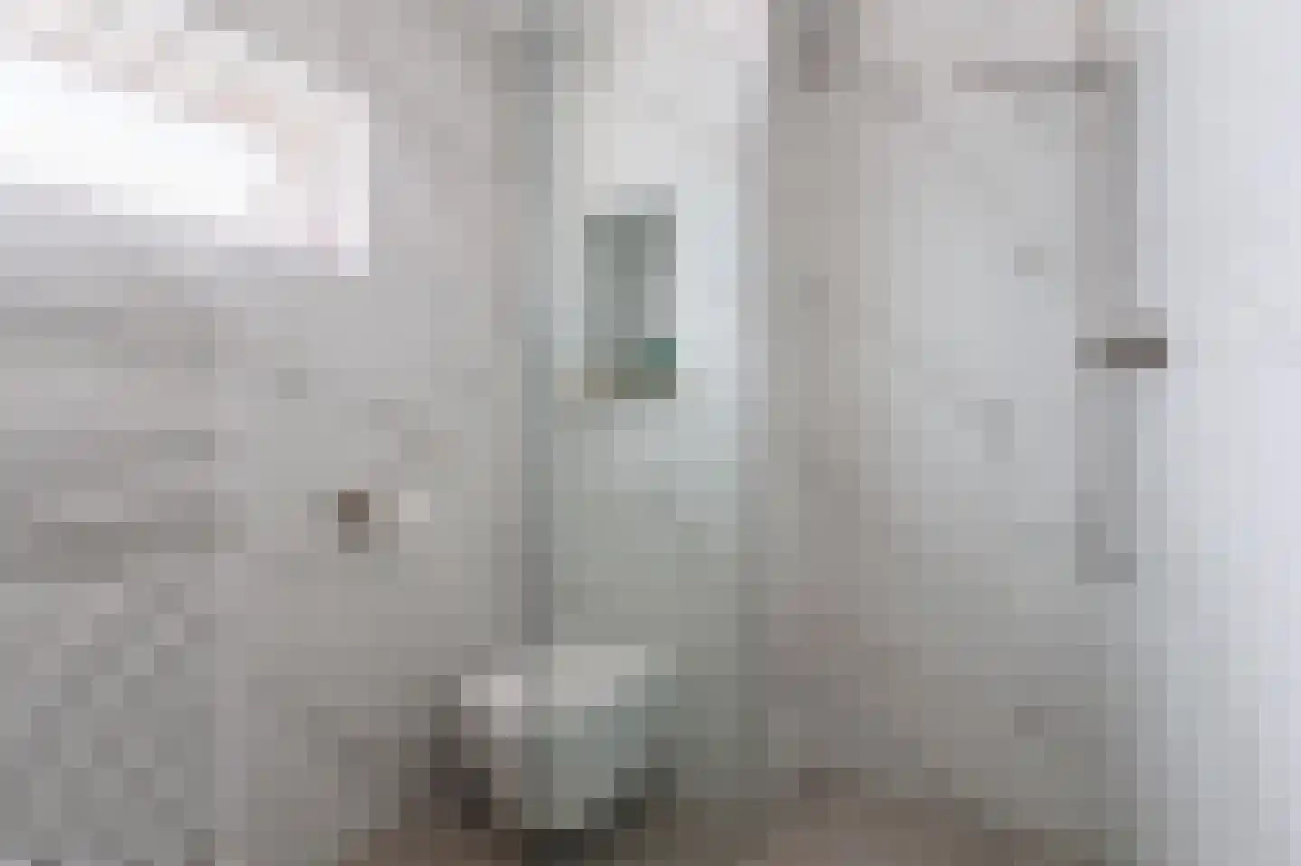 Elzenlaan 16 Groningen thumbnail 4