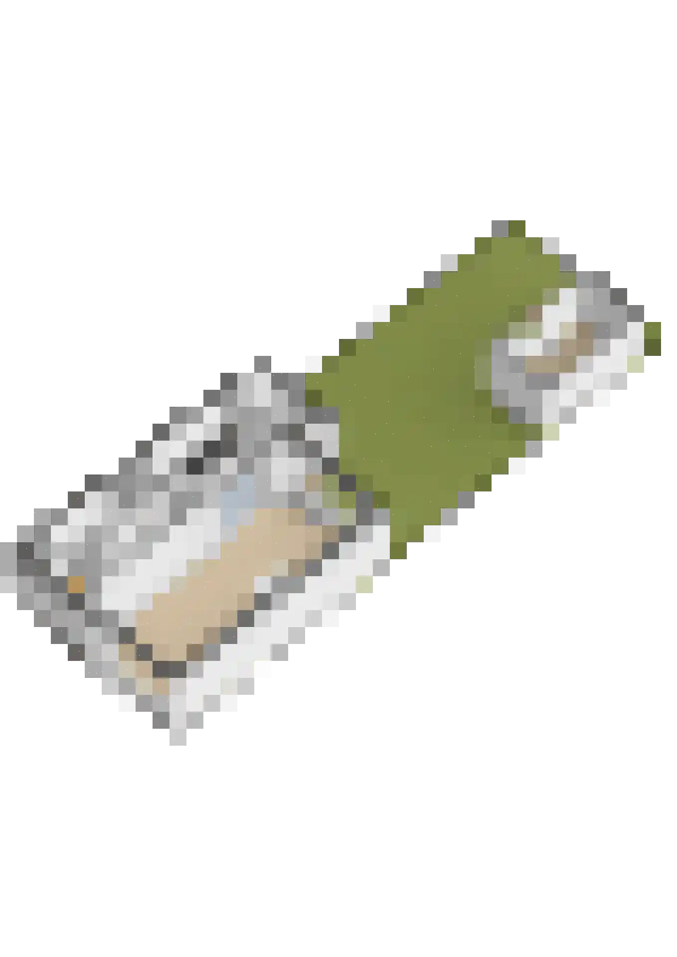 Elzenlaan 16 Groningen thumbnail 66