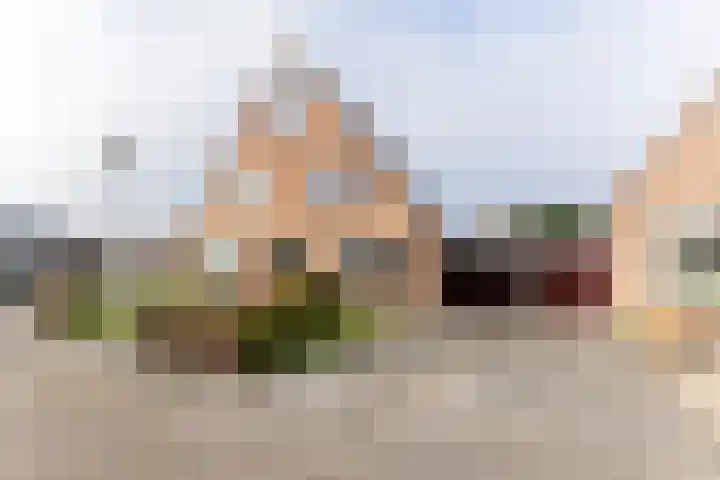 Elzenlaan 17 Dokkum foto 2