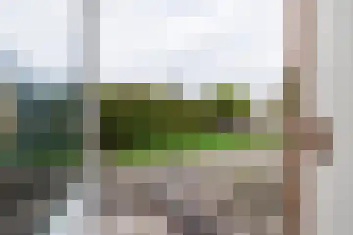 Elzenlaan 17 Dokkum thumbnail 36